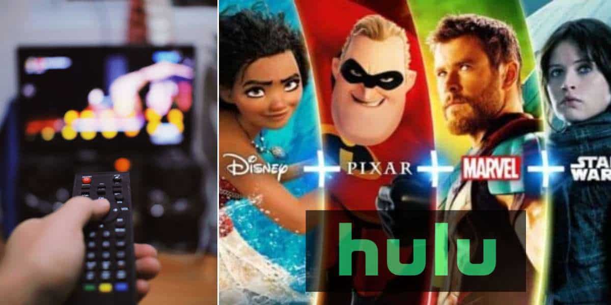 Hulu Disney+ Feature