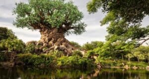 Disney's Animal Kingdom
