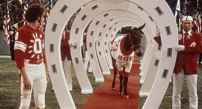 Gus the Mule walks onto the Field