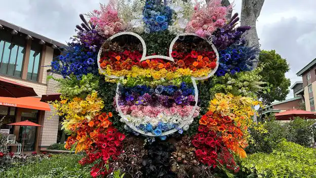Pride Flowers