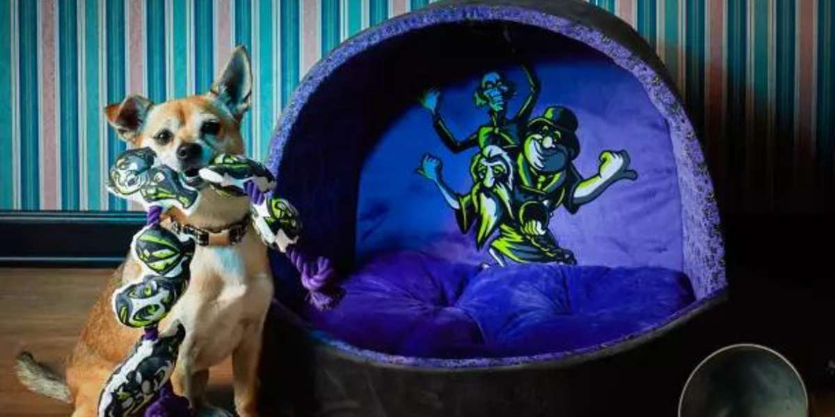 Dog with toy sitting next to Haunted mansion pet bed. 