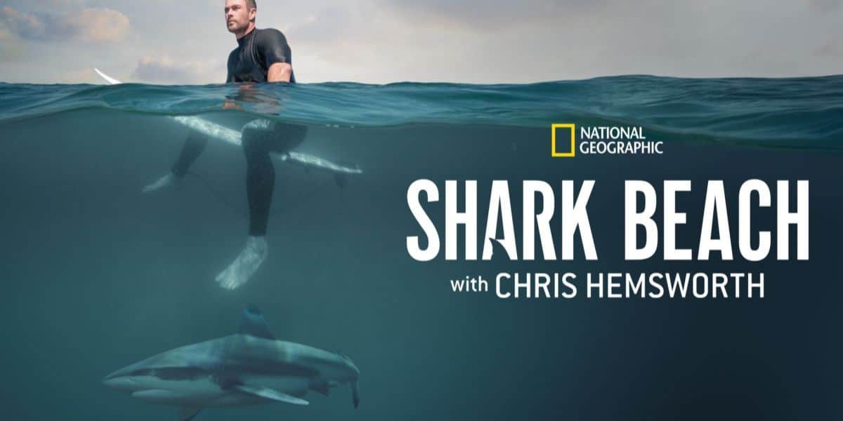 Shark Fest