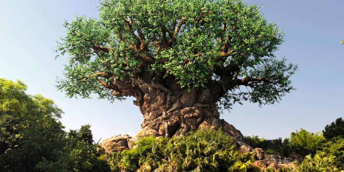 Animal Kingdom