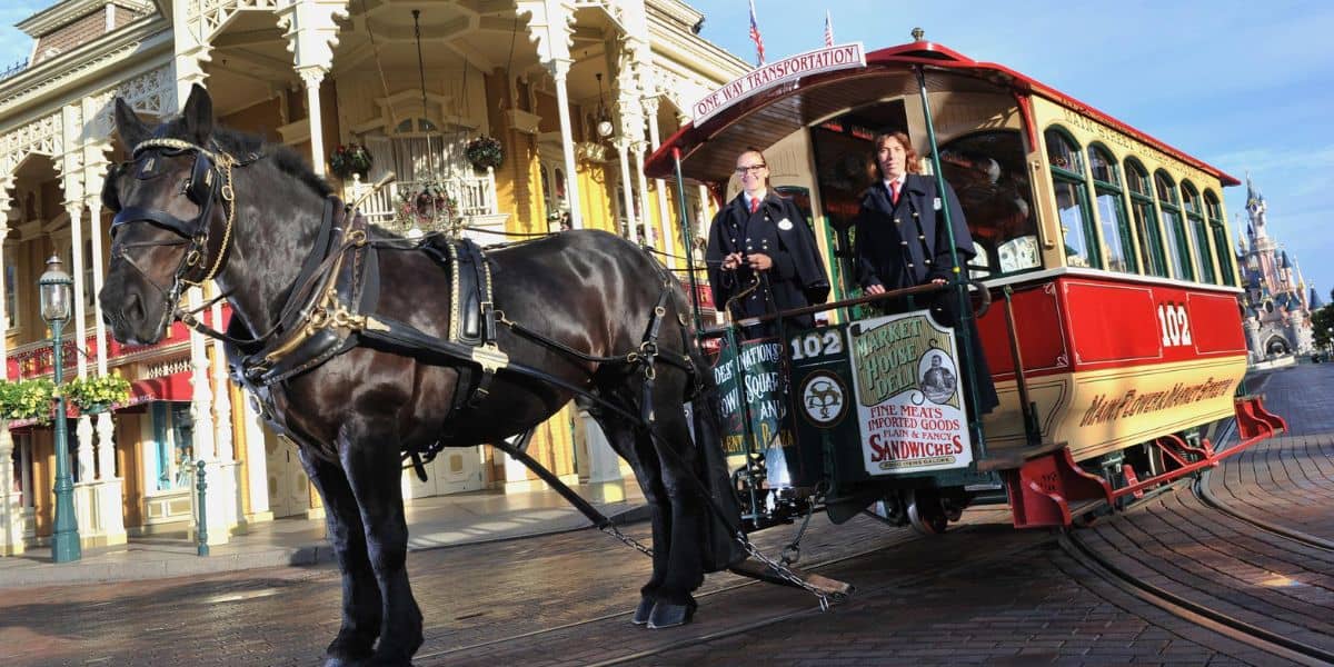 Horse drawn carriage Disneyland