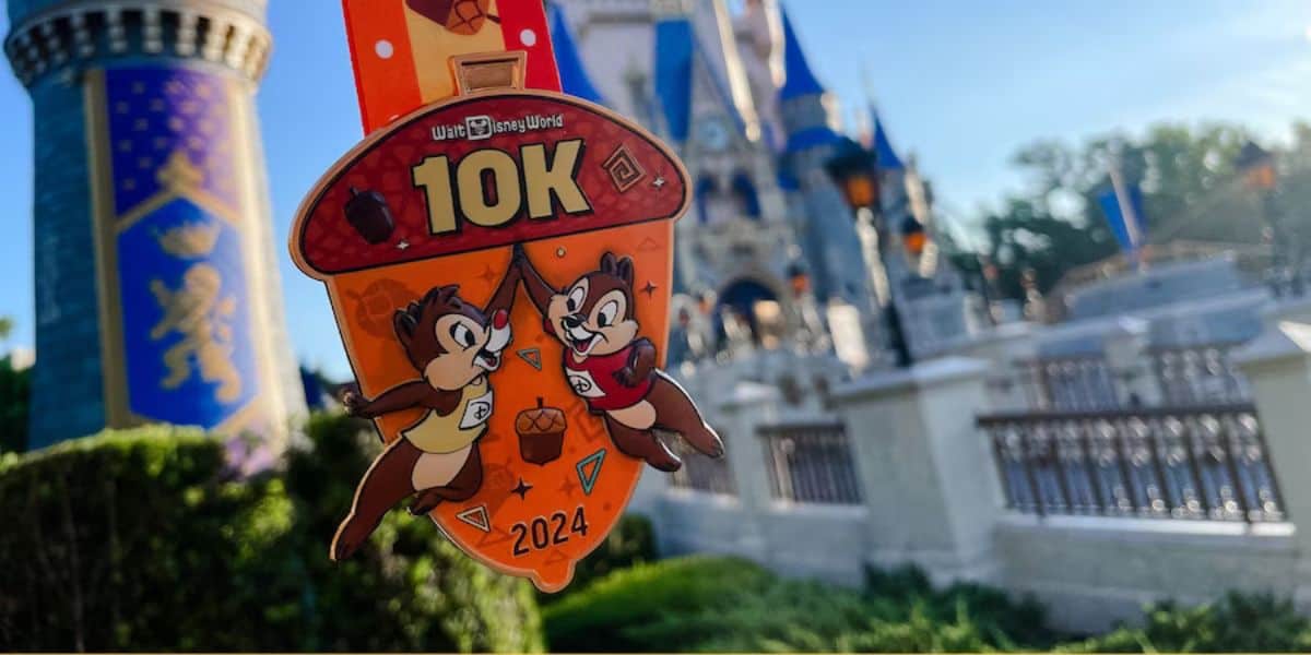 Mickey and Friends metals