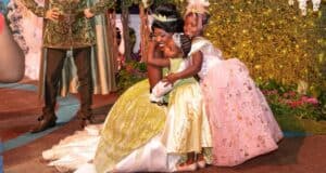 Once upon a wish party