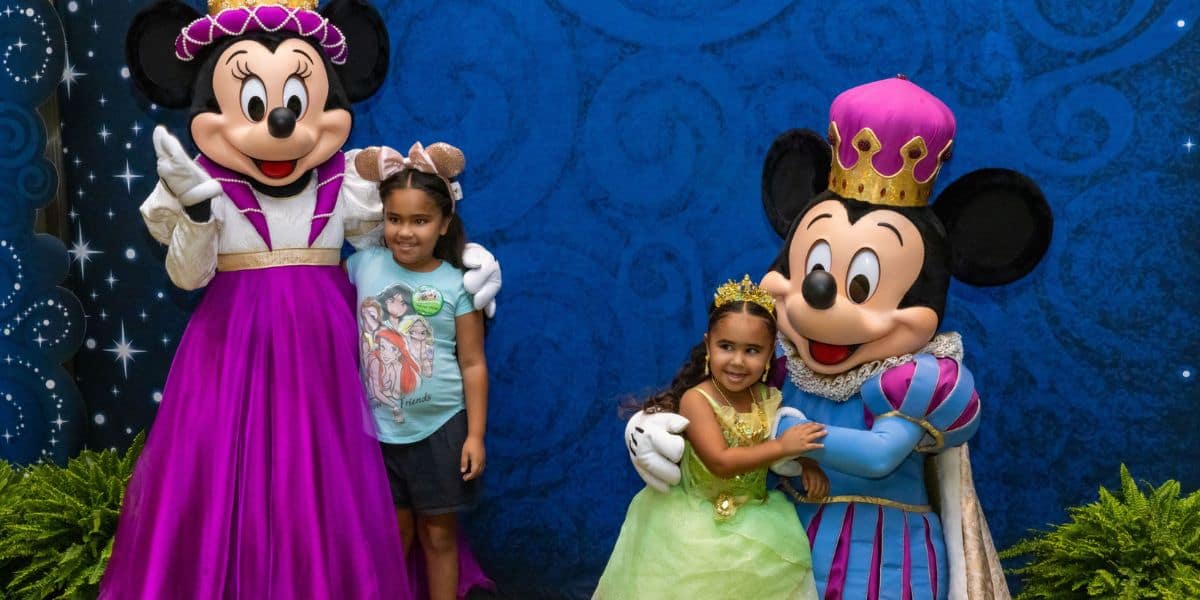Once upon a wish party