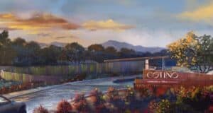 Cotino Storyliving by Disney