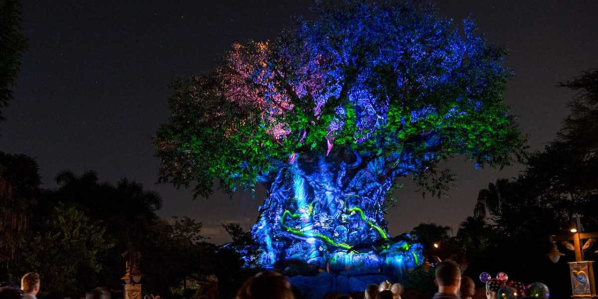 Tree of life at night animal kingdom