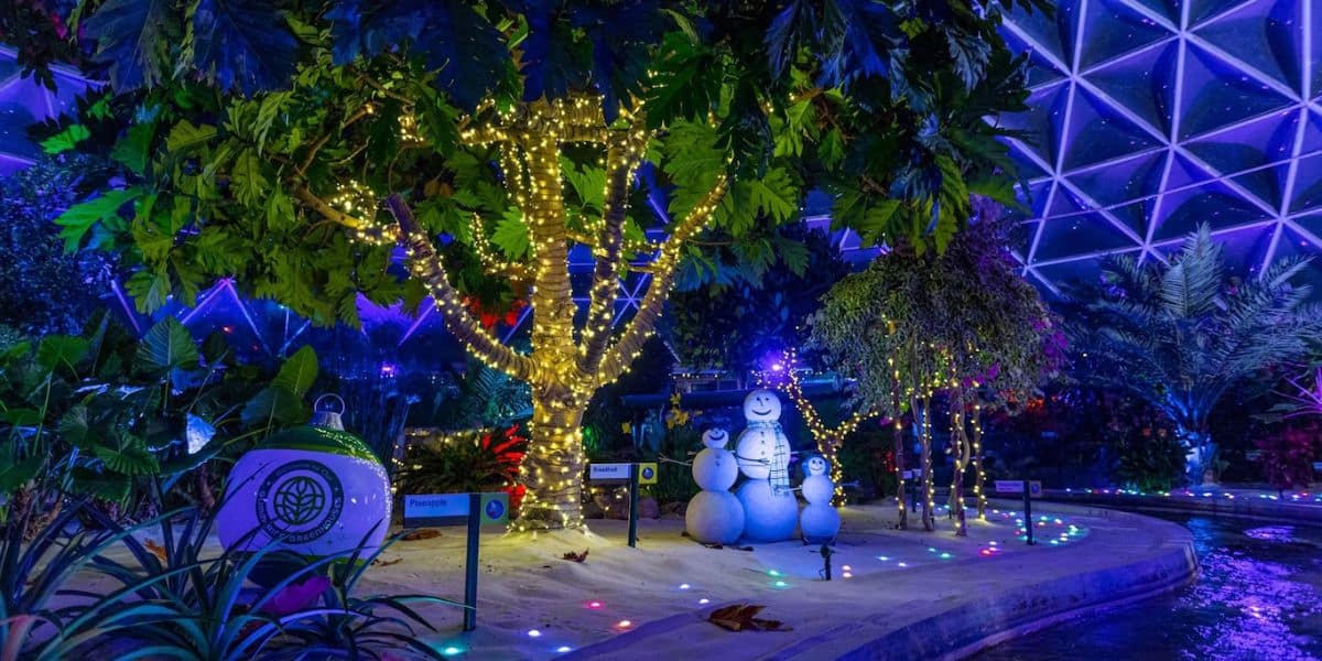 Living with the Land Christmas