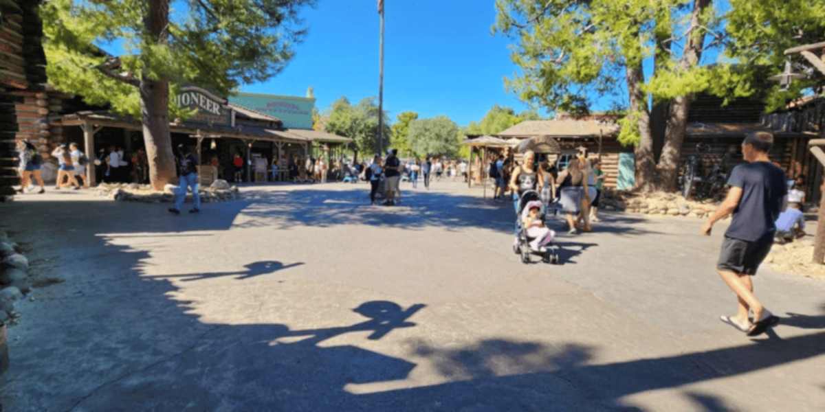 Disneyland Guest View