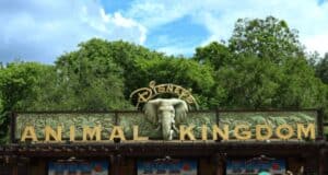 Disney Animal Kingdom