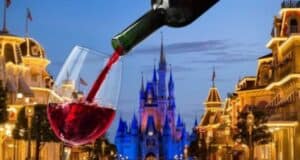 Magic Kingdom Alcohol