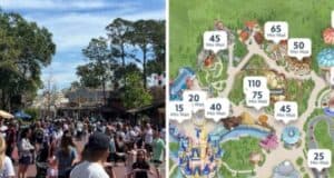 Disney World Spring Break Crowds