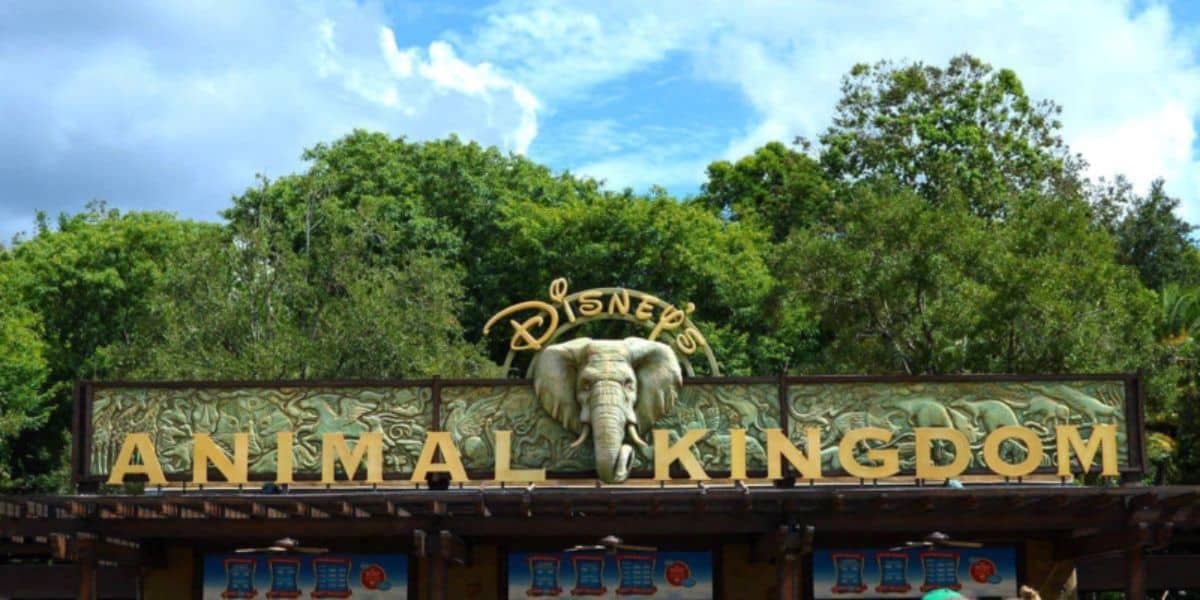 Animal kingdom Park entrance