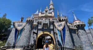 Disney Castle New Theme Park