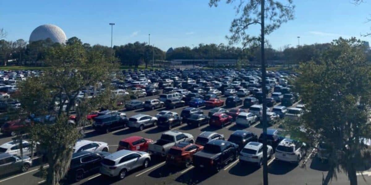 Disney Parking