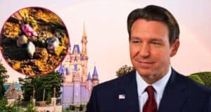 Ron DeSantis, Cinderella Castle, balloons tangled on a ride at Disney California Adventure.