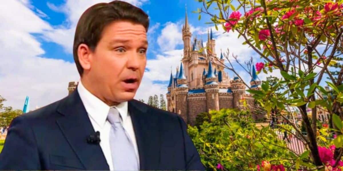 DeSantis looking shocked over Disney castle