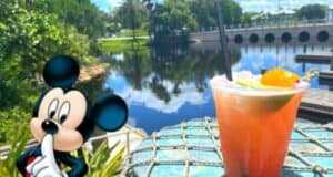 Disney Bar