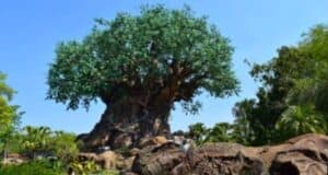 The Tree of Life at Disney's Animal Kingdom Theme Park in front of a clear blue sky.