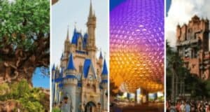 Disney World Tips