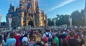 Magic Kingdom News