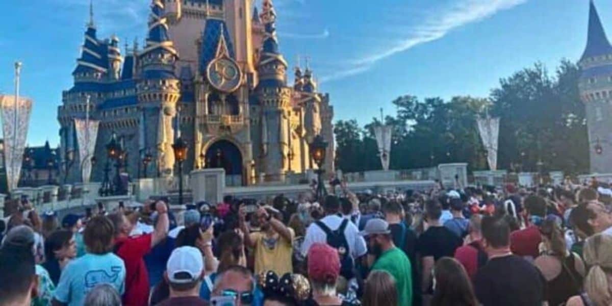 Magic Kingdom News