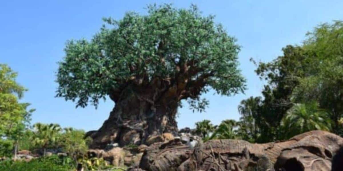 Tree of Life