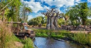kilimanjaro safaris elephants