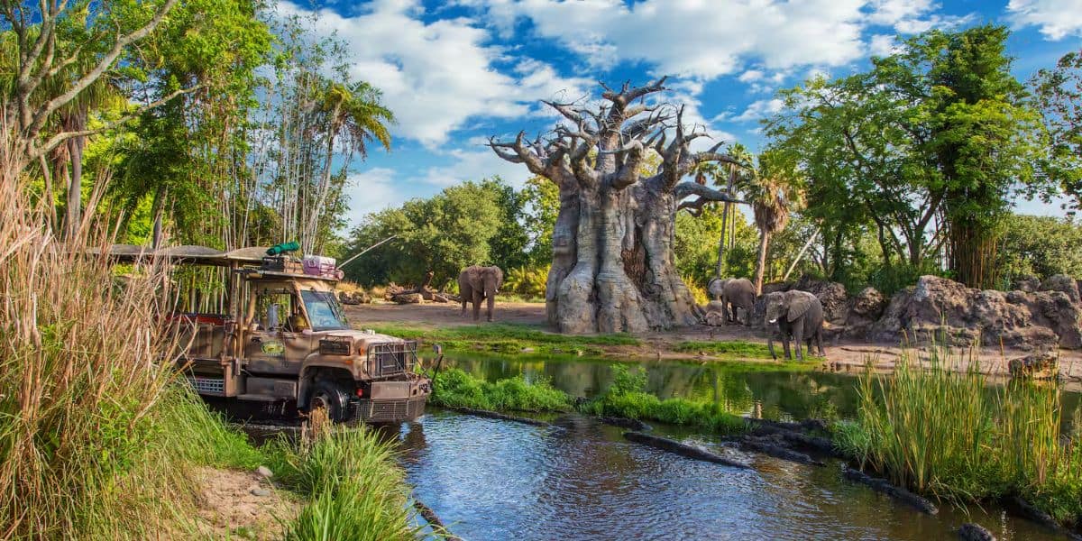 kilimanjaro safaris elephants