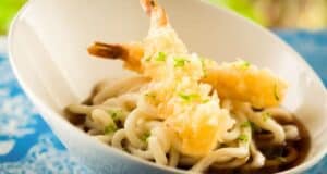 Katsura Grill Japan Pavilion EPCOT