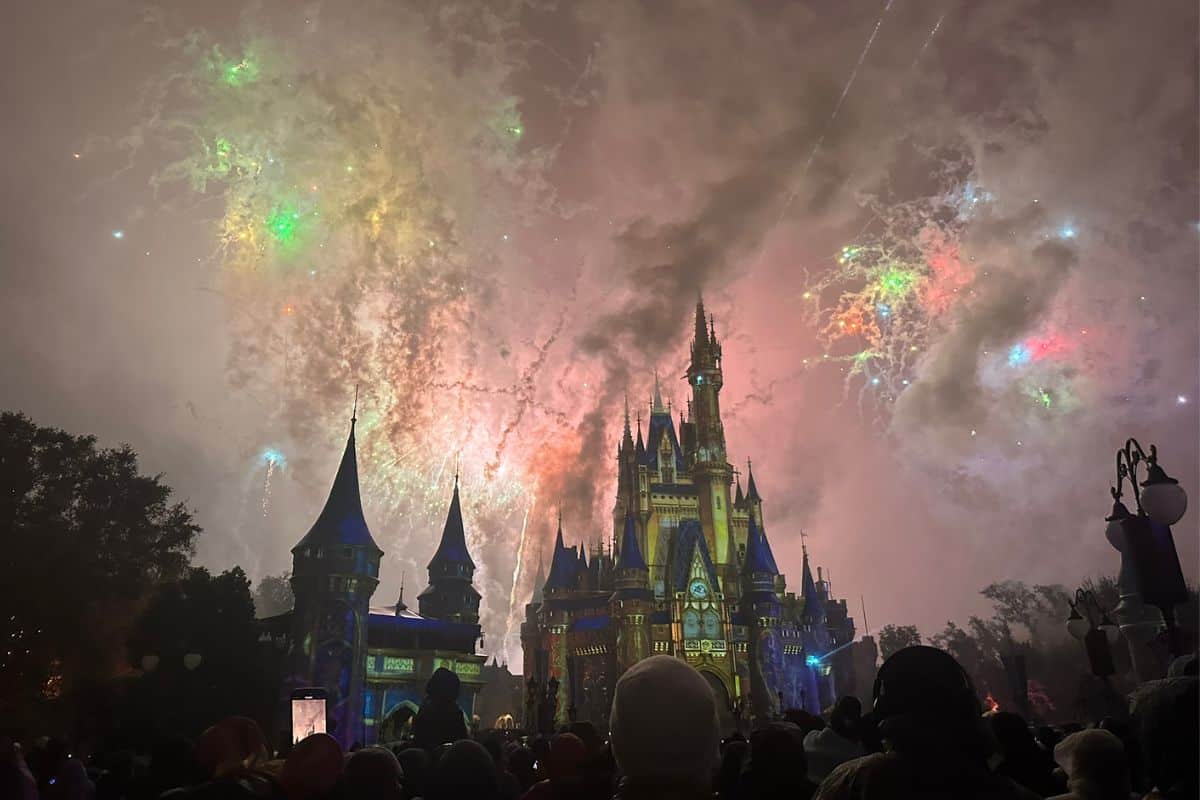 A large crowd watches Happily Ever After at Magic Kingdom. 