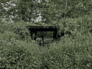 Bushkill Creek 13th and Wood by Laini Abraham