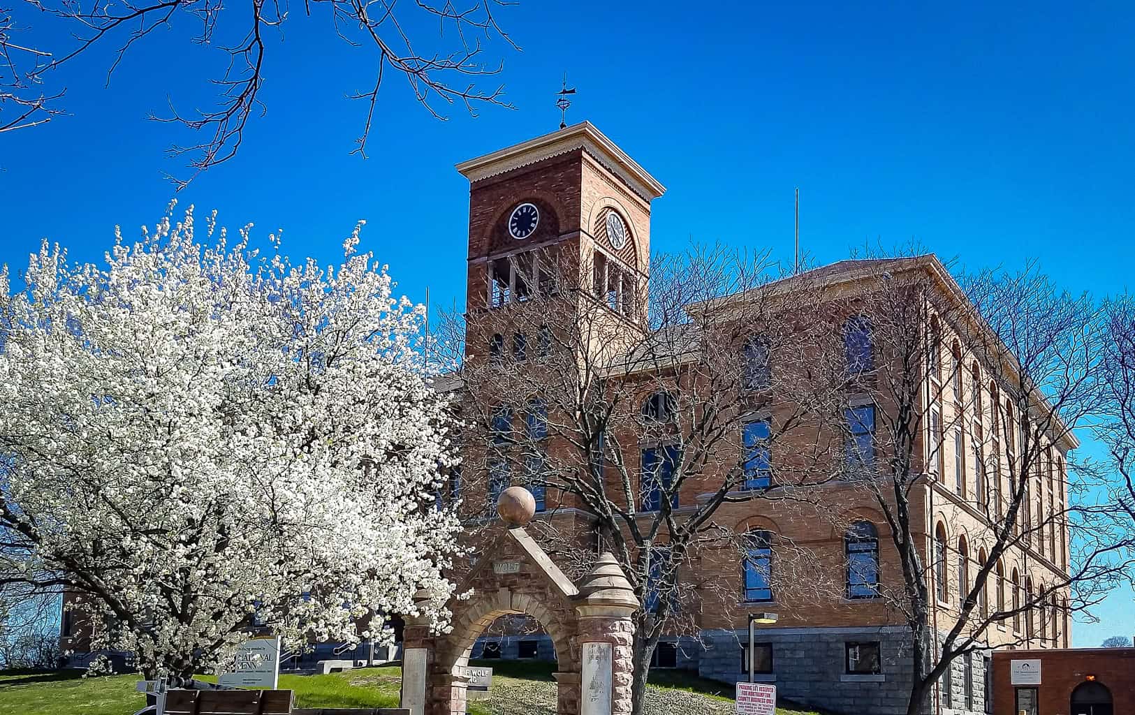 Governor Wolf Building with the arch and a tree with white flowers