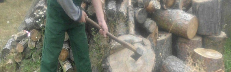 Achtung: Baum fällt – Die Erfolgsgeschichte von Hans Ellrich