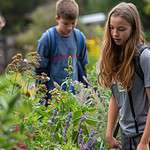 Educational Tour in Botanical Garden With Students Learning About Medicinal Herbs and Plants