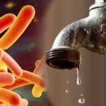 Faucet drip legionella bacteria