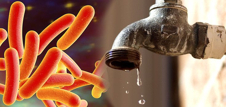 picture of Faucet drip legionella bacteria