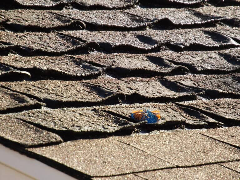 Is It Time to Replace Your Roof? Signs to look out for
