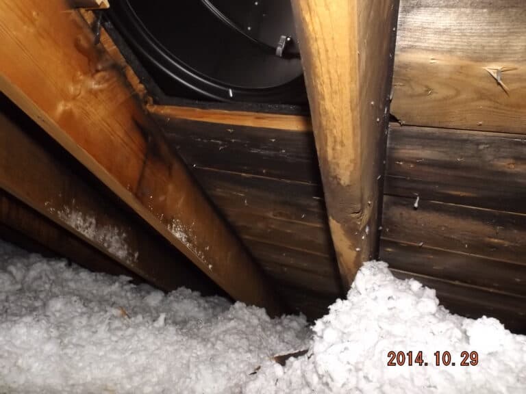 Mold in Attics- Homebuyers Take Care