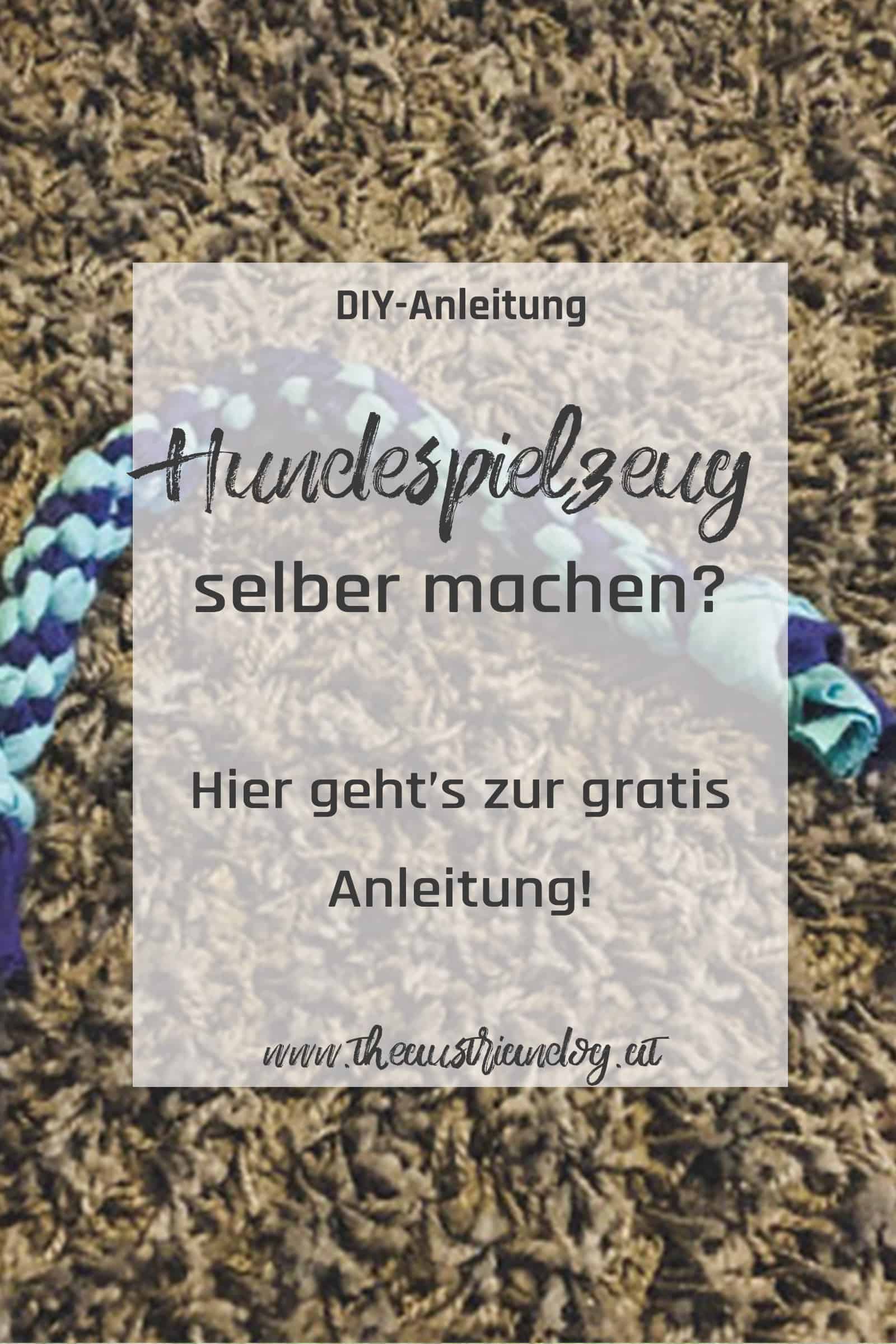 hundespielzeug-selber-machen-pinterest