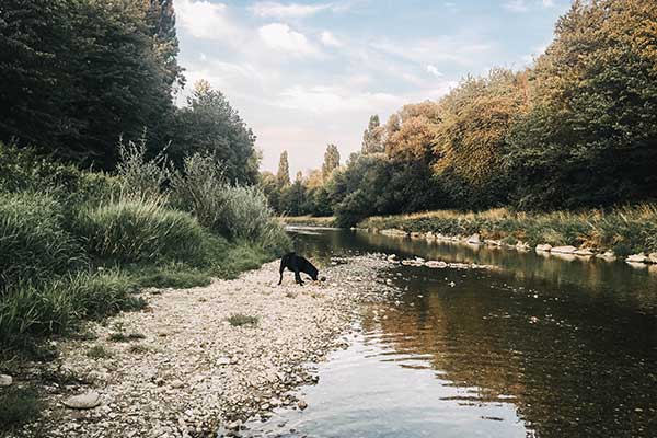 flummi-krems-wasser-flummisdiary