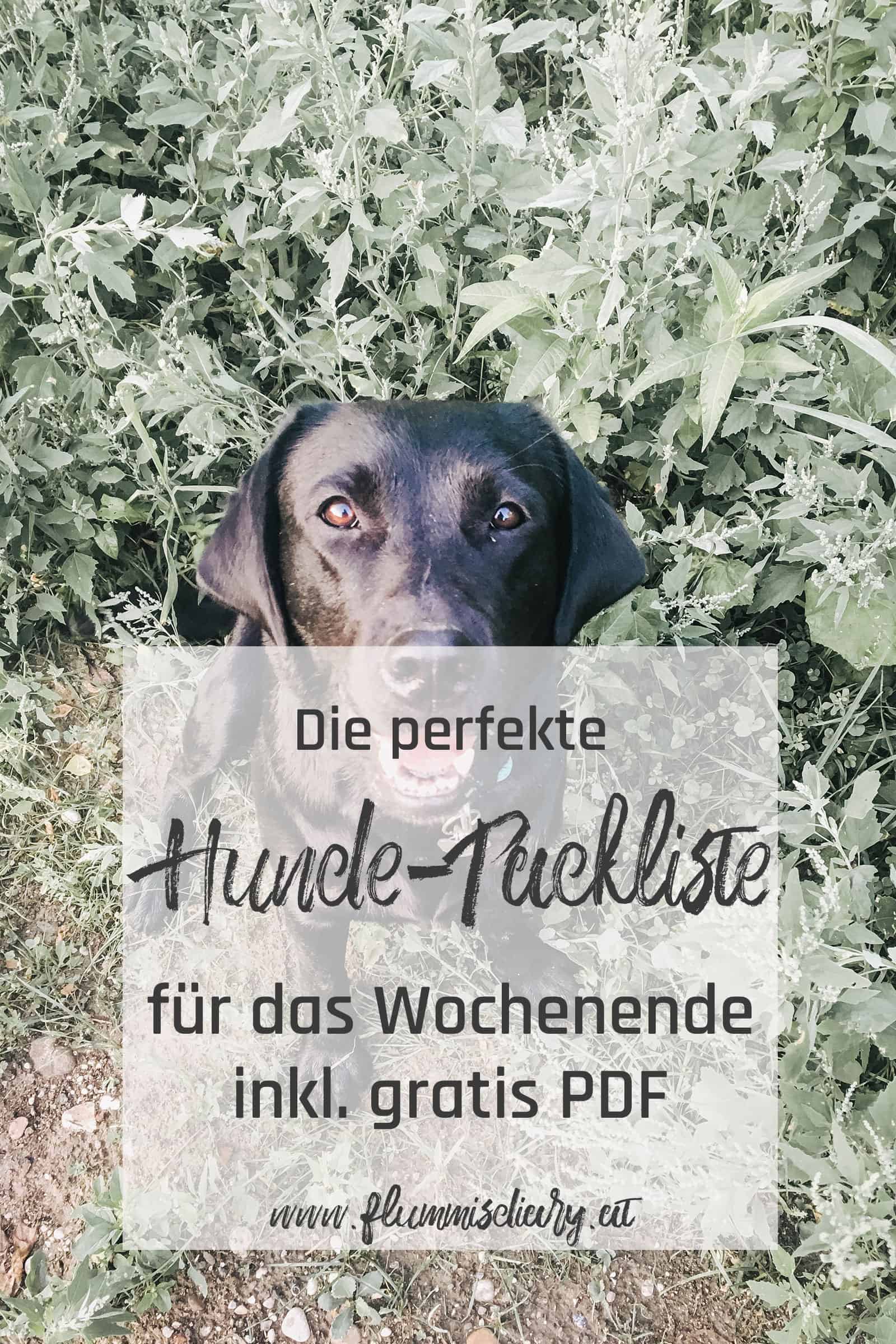 hunde-packliste-für-das-wochenende