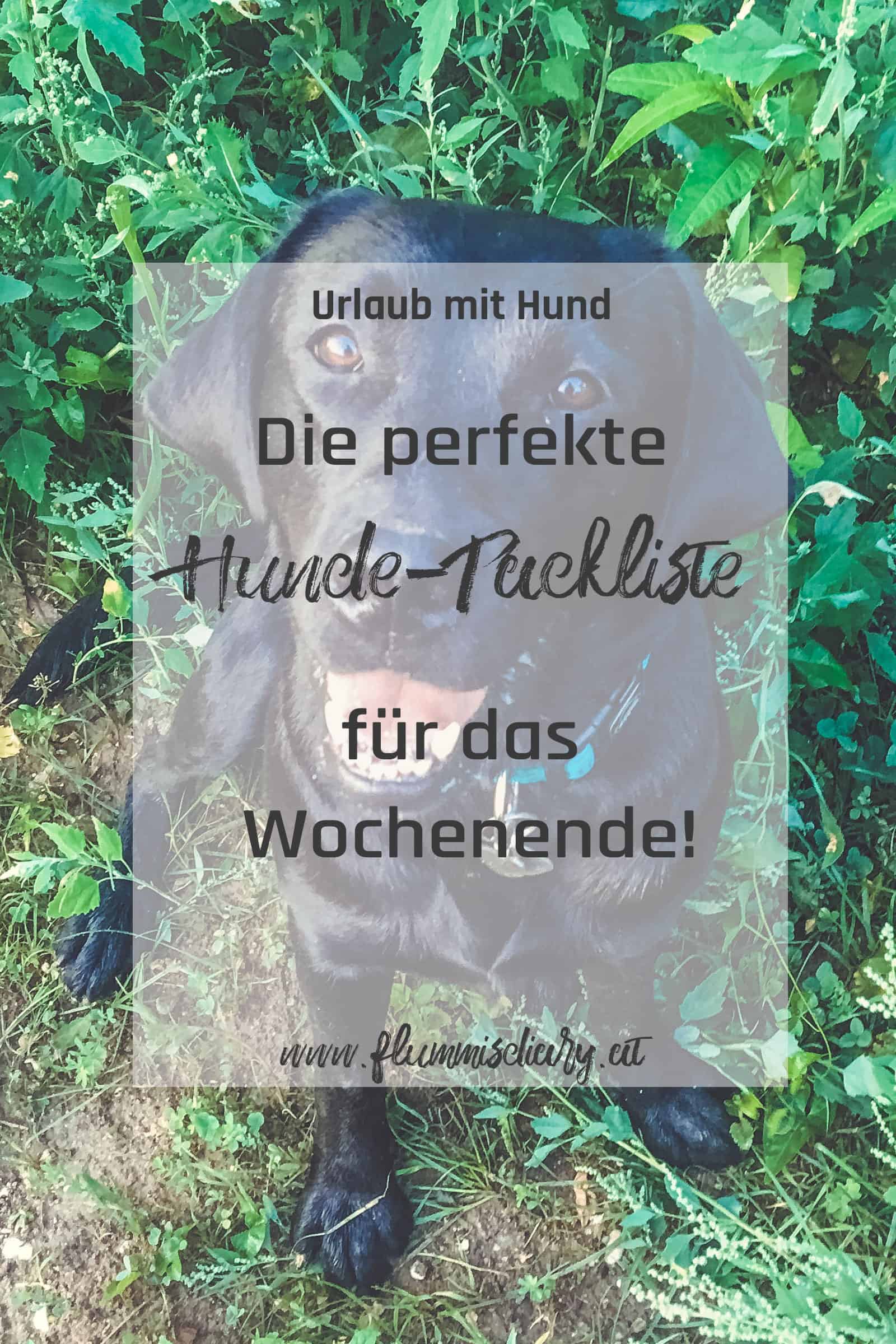 hunde-packliste