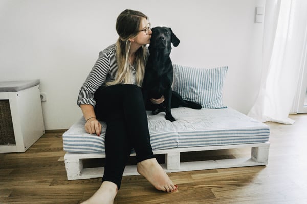 hundebett-aus-paletten-kiss-gemütlich