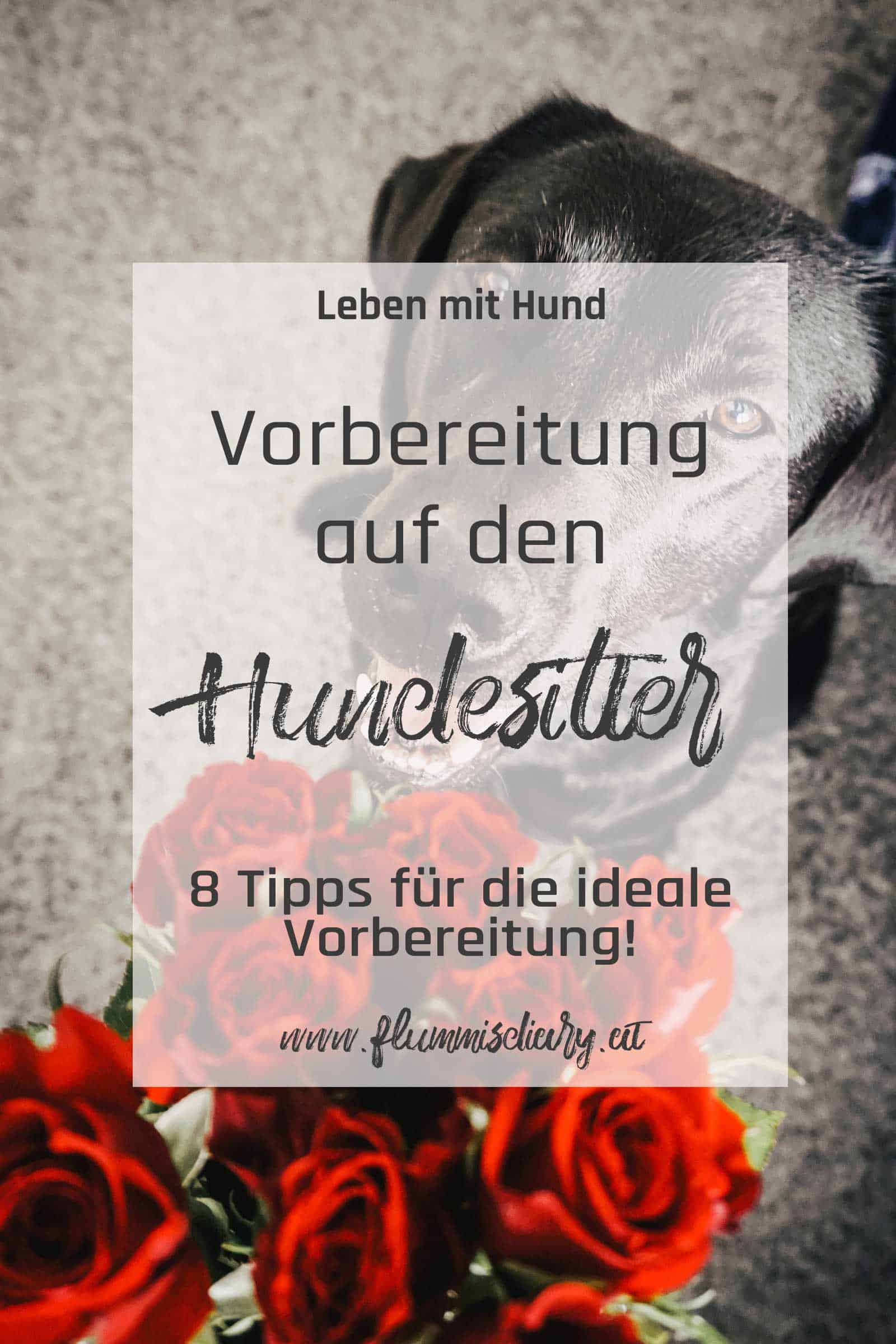 pinterest-vorbereitung-auf-den-hundesitter