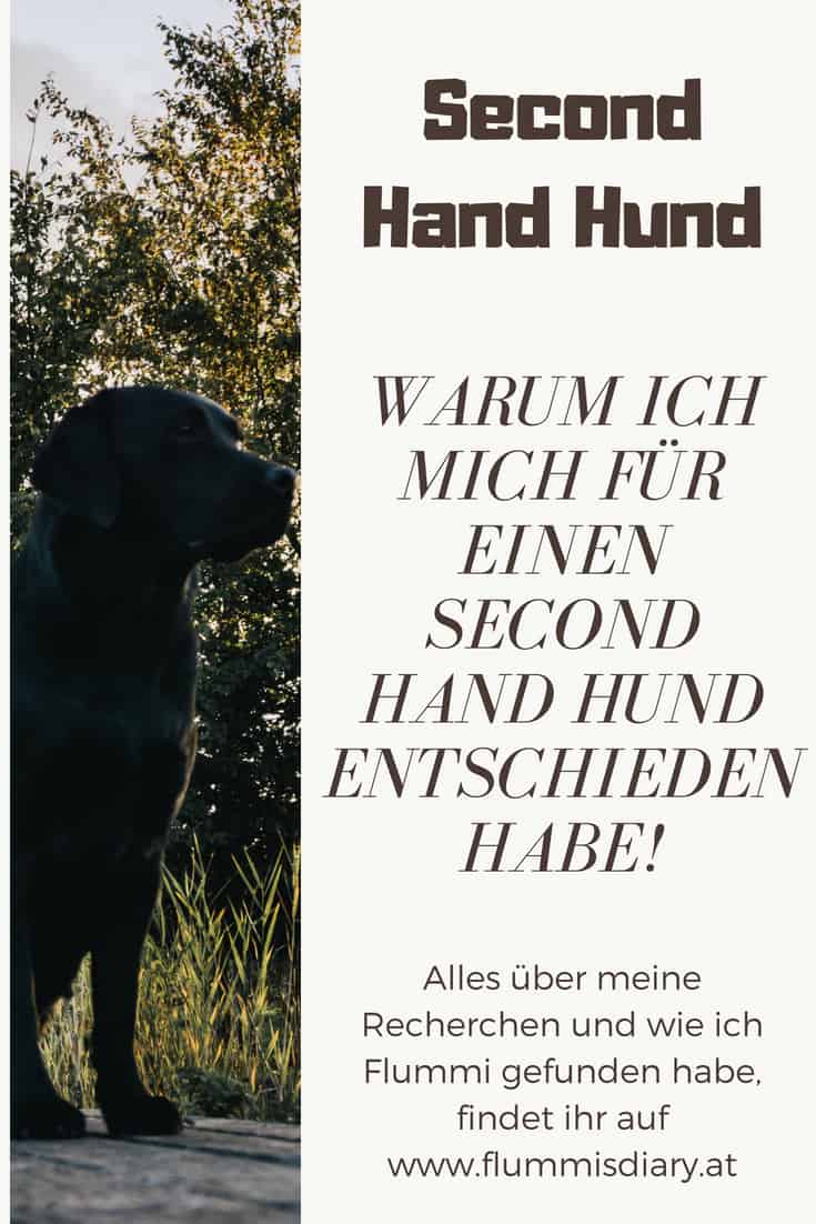 Second-hand-hund-infografik