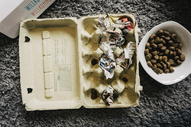 hundespielzeug-aus-eierkarton-diy
