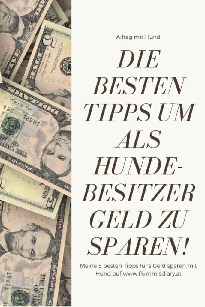 geld-sparen-mit-hund